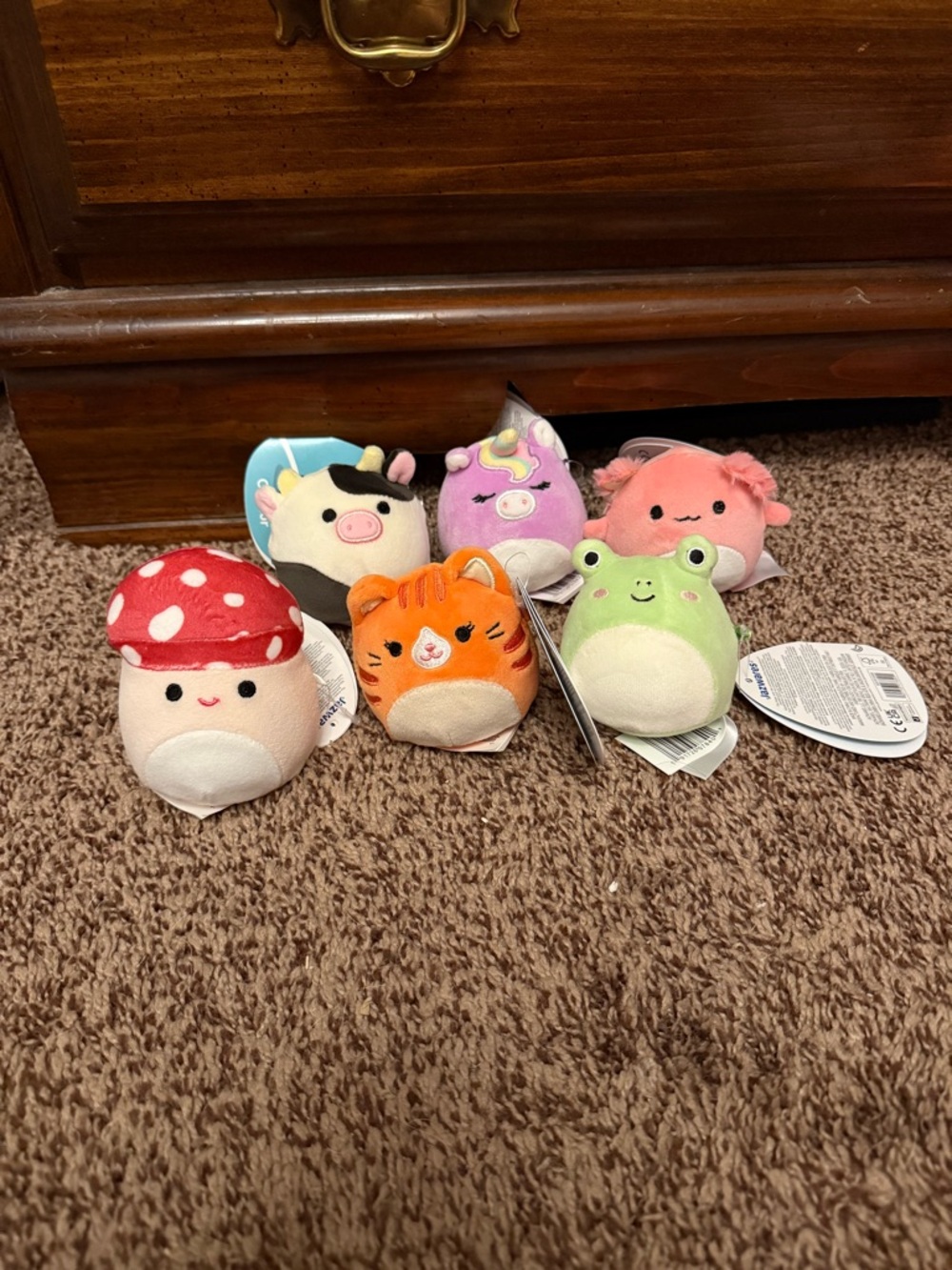 Squishmallow Mallowmees Set of 6 Squishys Brand New!